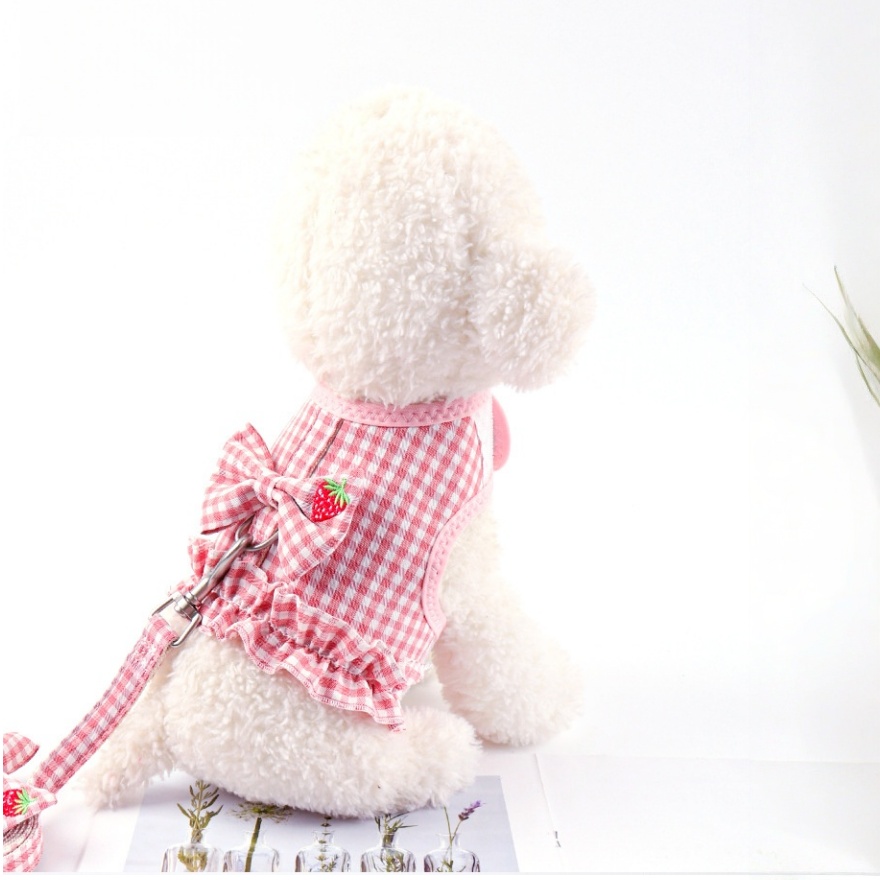 Pink Gingham Dog Harness with Strawberry Detail and Matching Leash